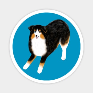 Australian Shepherd (Black Tri) Magnet